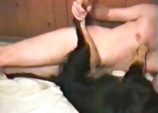 セクシー