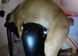 エボニー